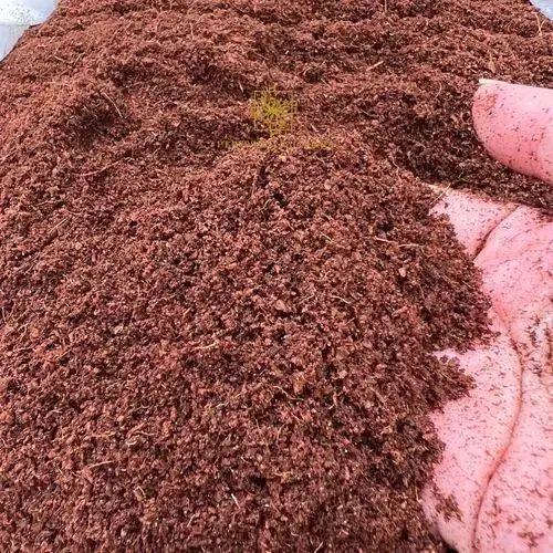 Buffered coco peat product for horticultural use