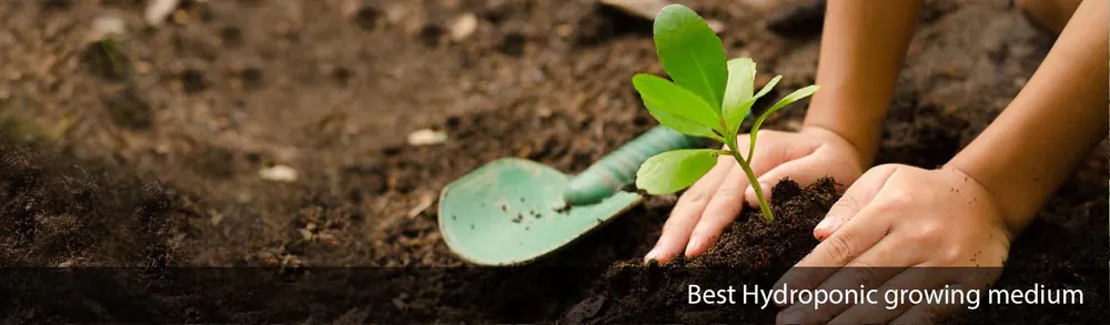 Coir-based material used in sustainable land management