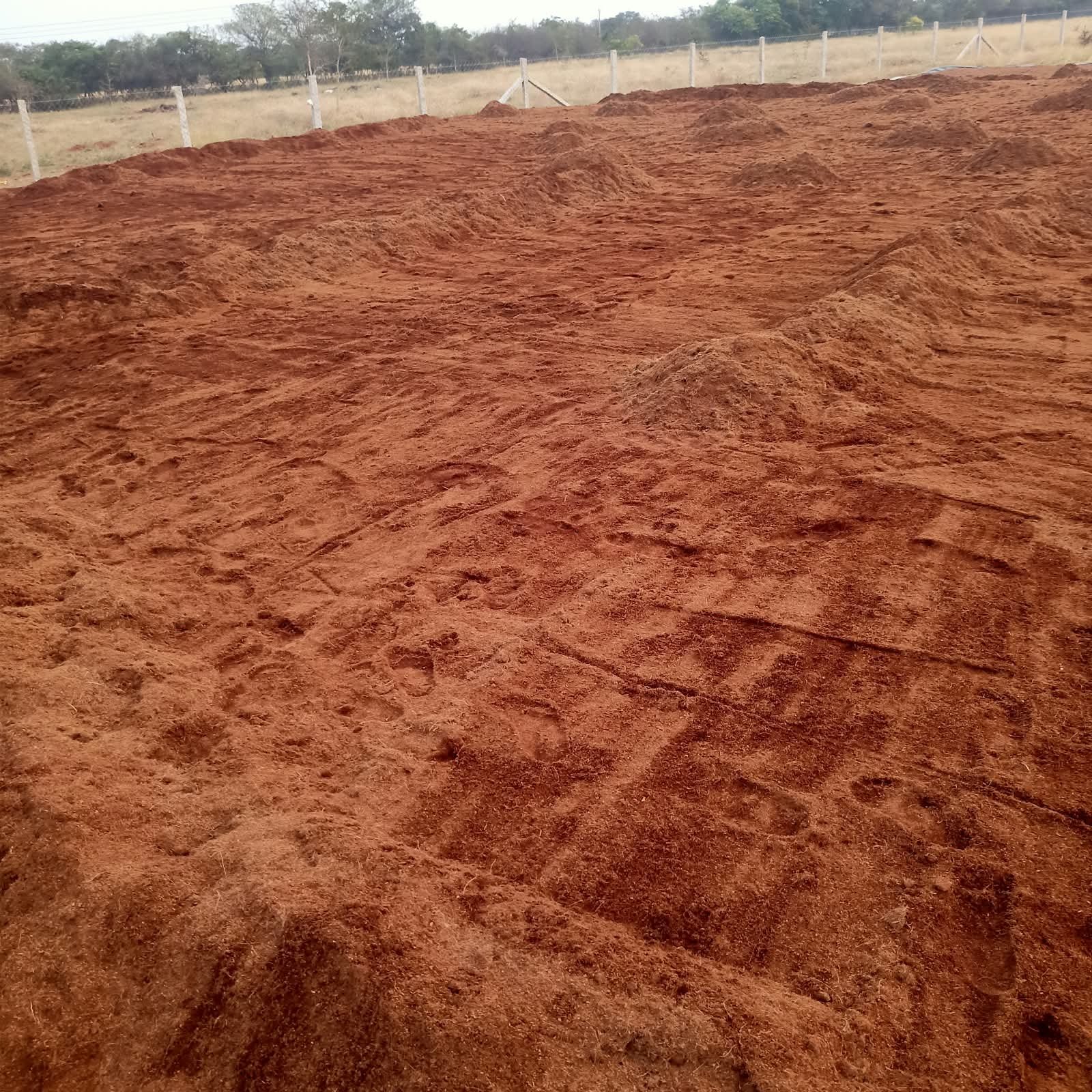 Buffered Cocopeat 2