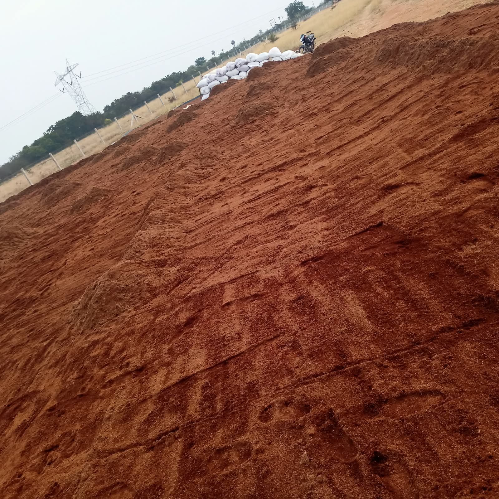 Buffered Cocopeat 3