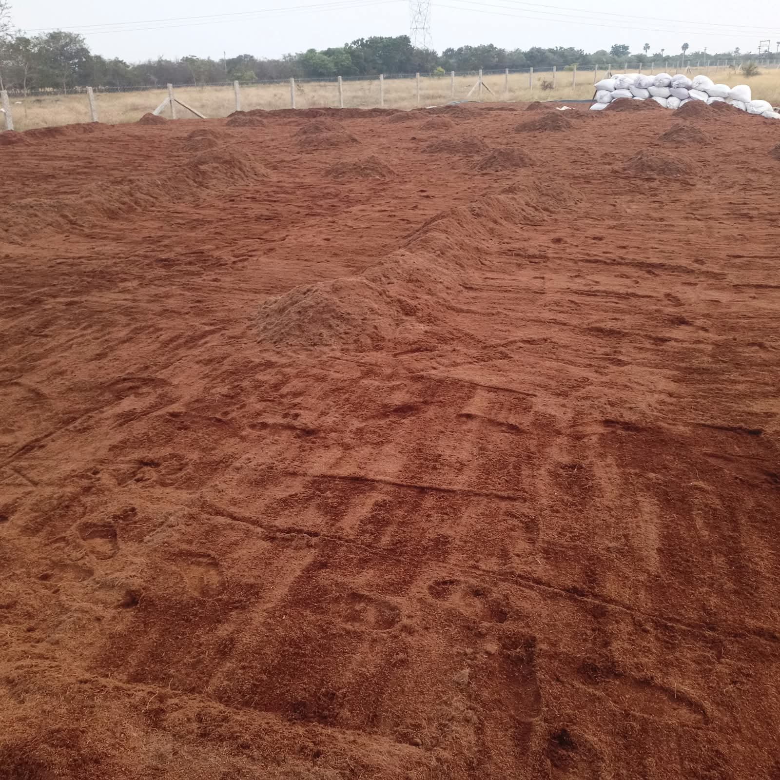 Buffered Cocopeat 4