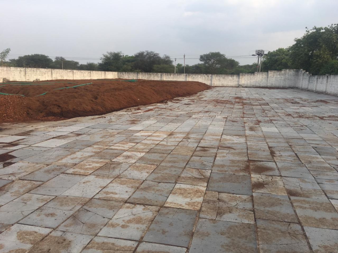 Buffered Cocopeat 5