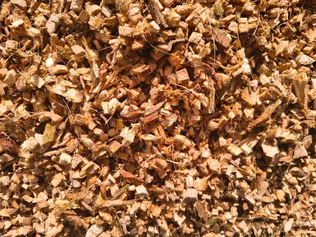 Coco Chips 6
