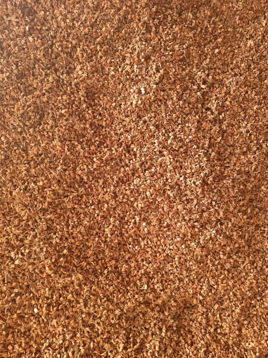 Coco Chips 7