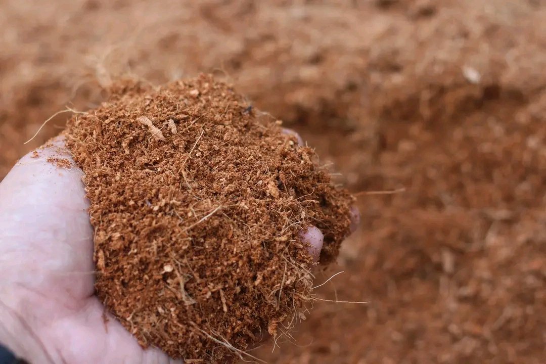 Cocopeat 5kg 3