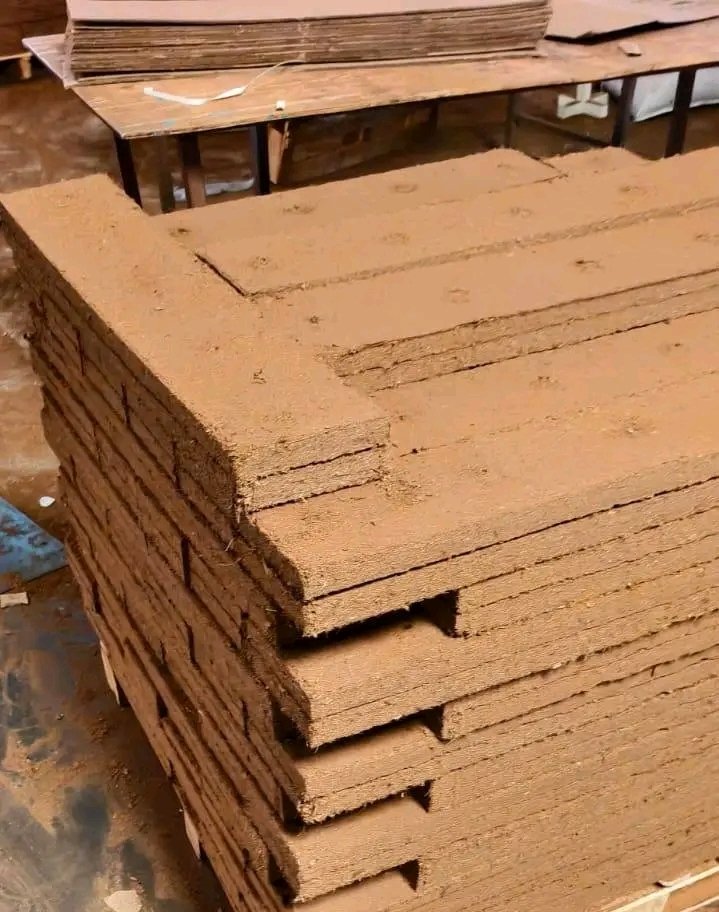 Coir Grow Bag 2