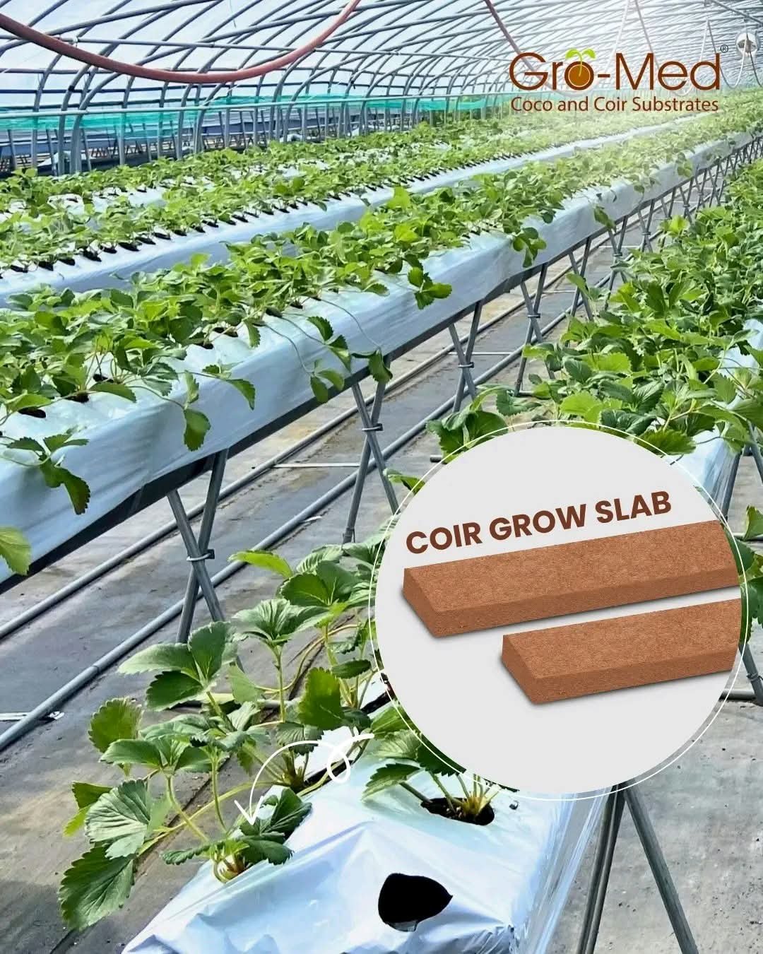 Coir Grow Bag 9
