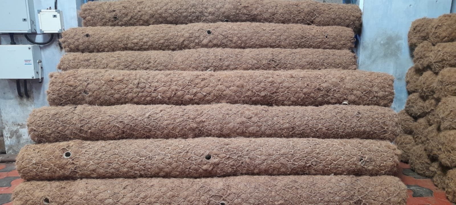 Coir Log 5