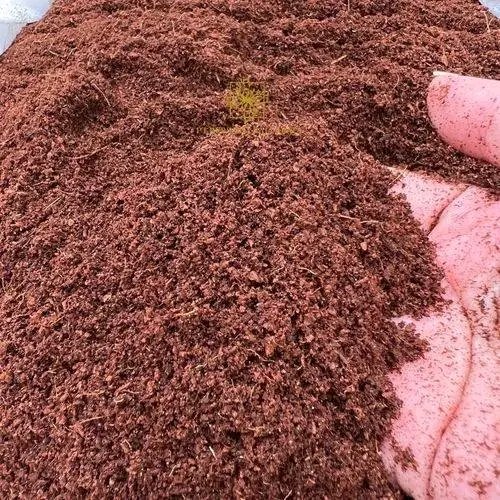 Buffered Cocopeat 5kg Block